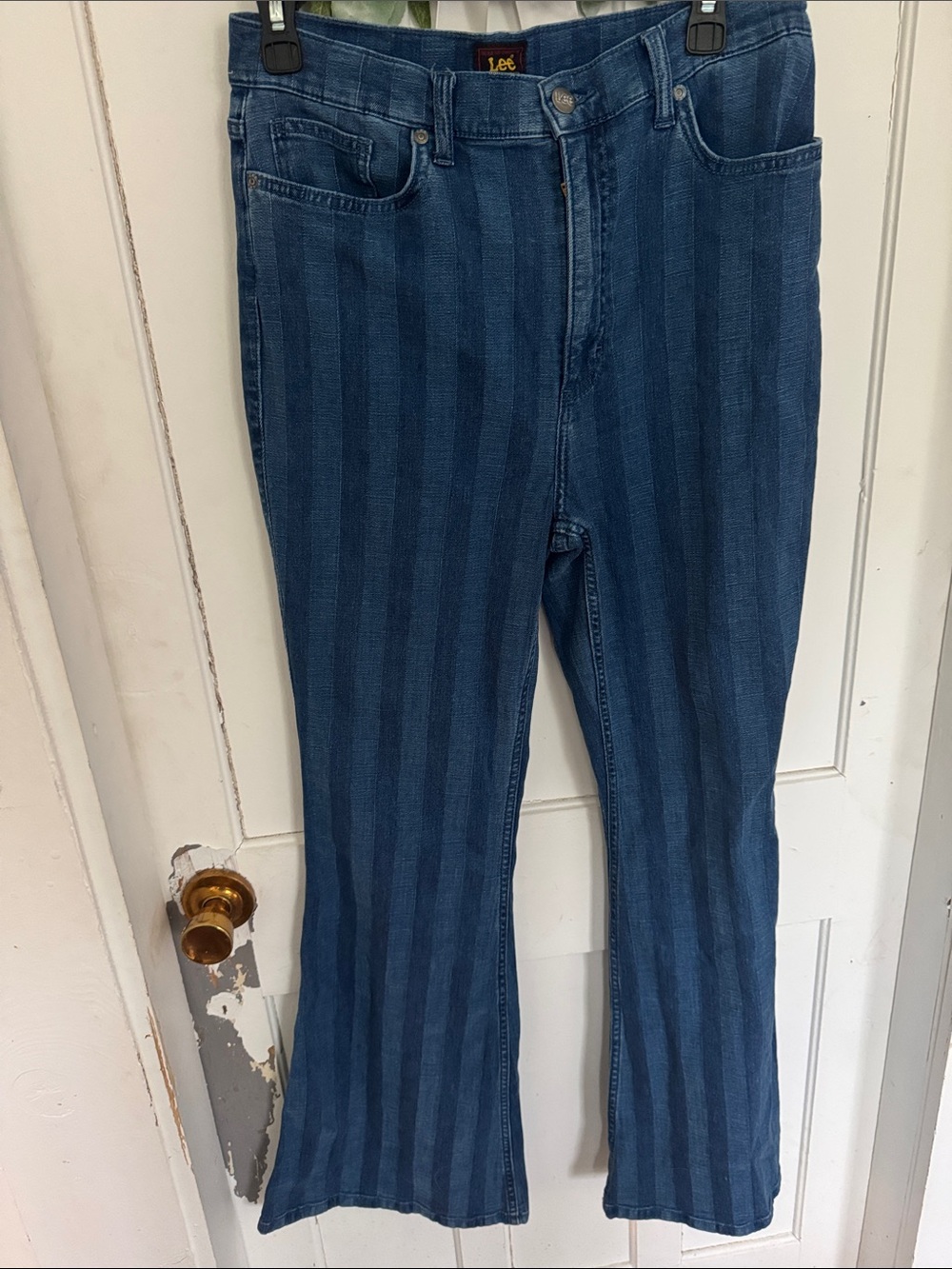 Lee Blue Striped Flared Jeans